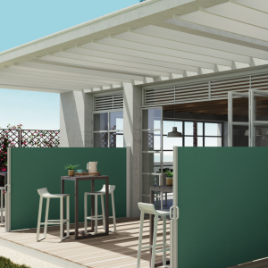 TOLDO CORTINA LATERAL