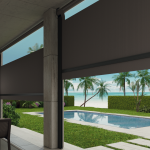 TOLDO BAJANTE O VERTICAL